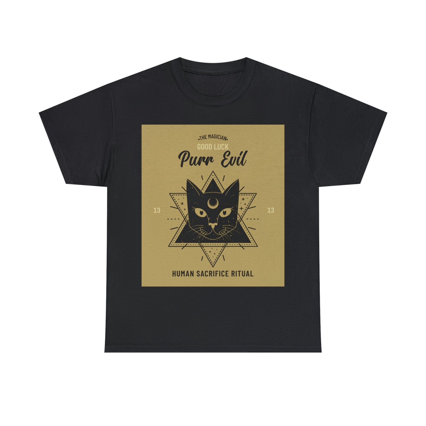 Evil Magician Cat