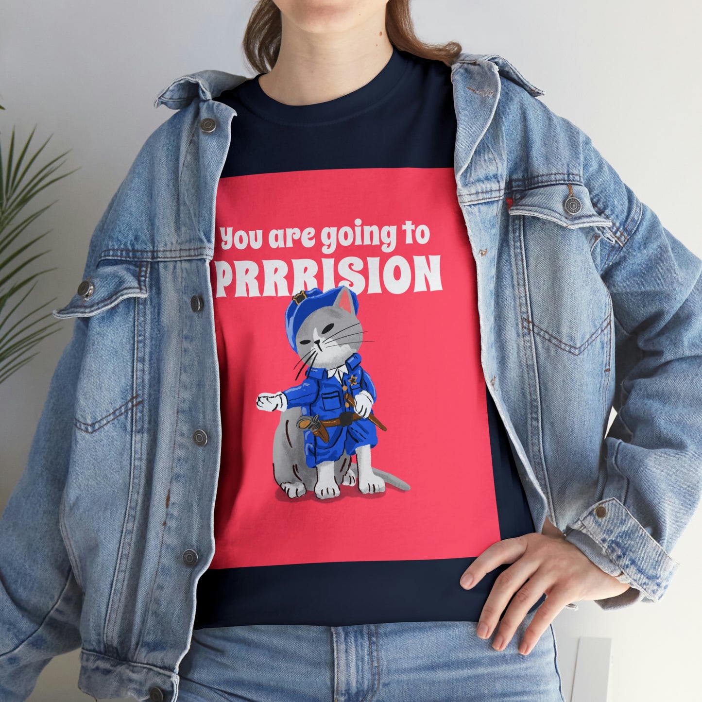 Cat Is Taking You To The Prison