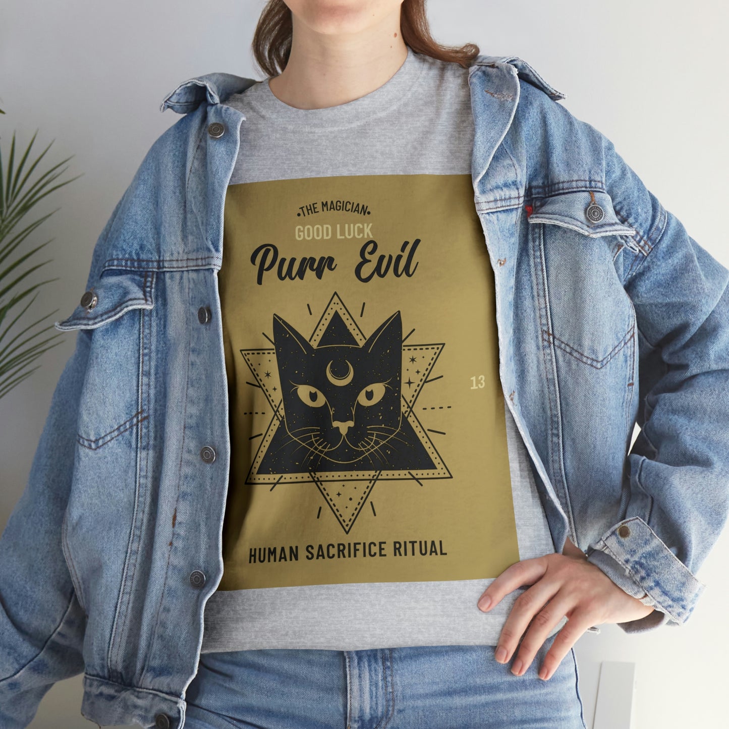 Evil Magician Cat