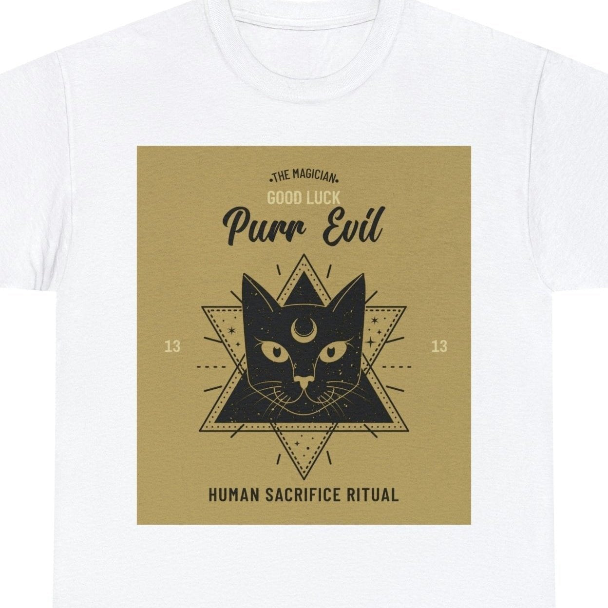 Evil Magician Cat
