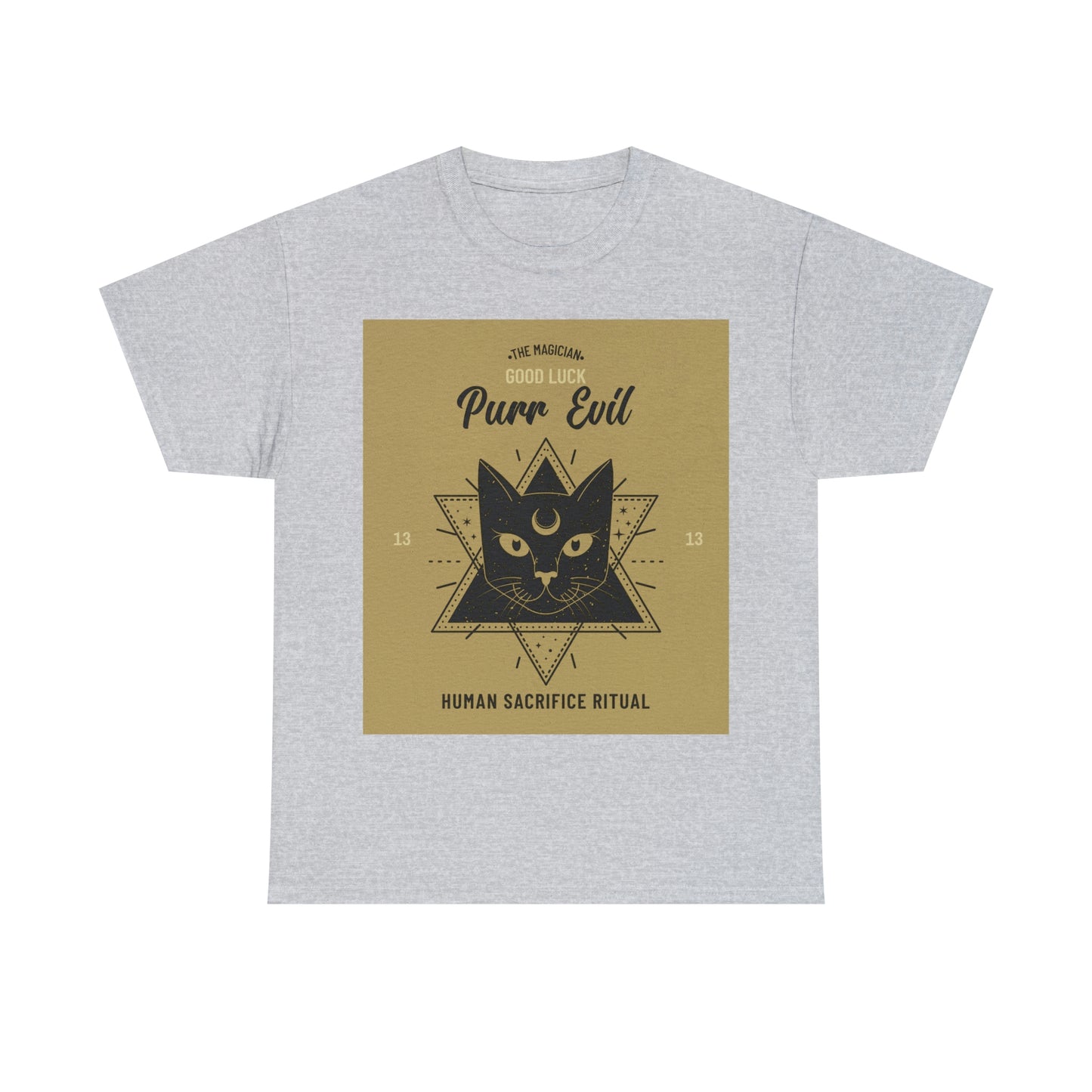 Evil Magician Cat
