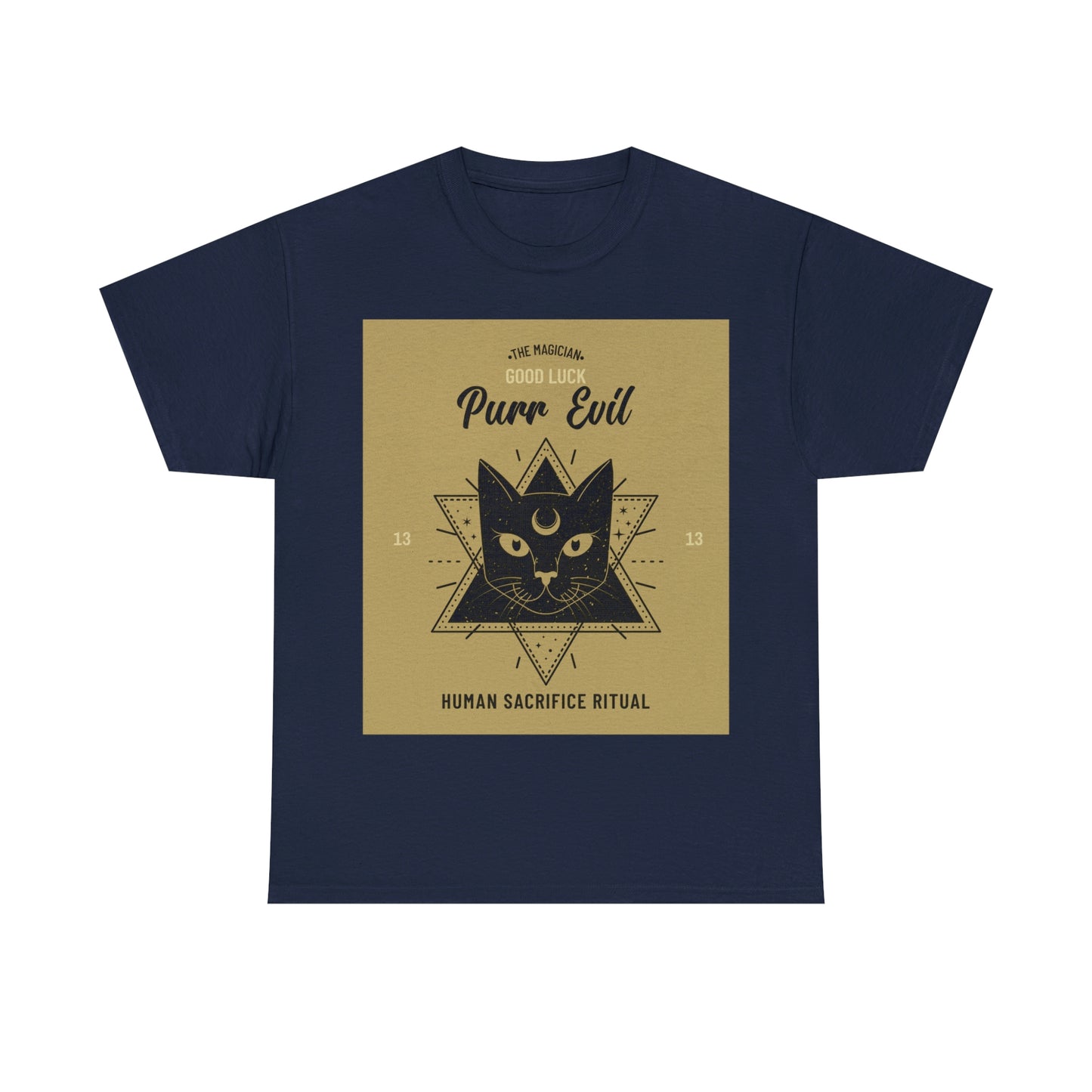 Evil Magician Cat