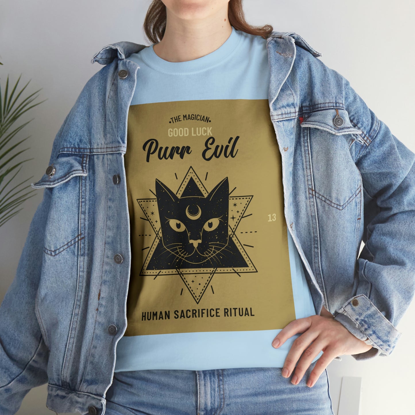 Evil Magician Cat