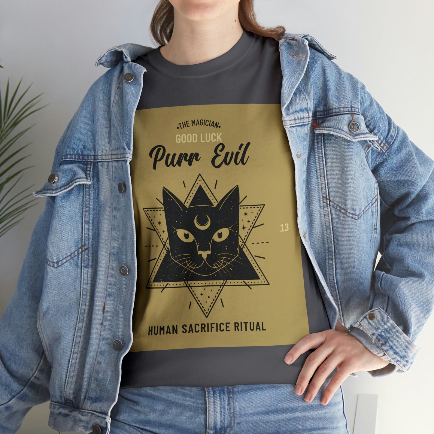 Evil Magician Cat