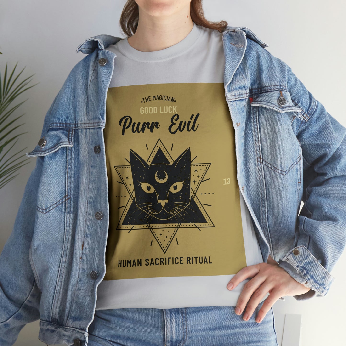 Evil Magician Cat