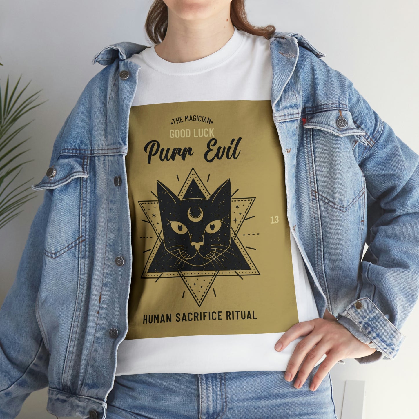 Evil Magician Cat