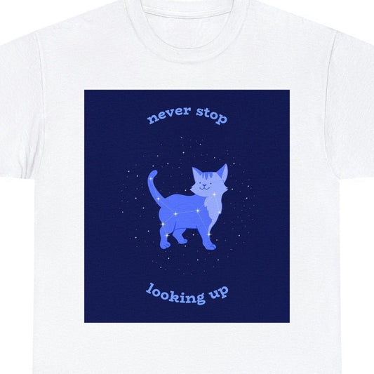 Galaxy Cat Motivation